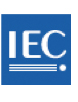 IEC Logo