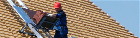 Ladder Hoist for Roof Panels